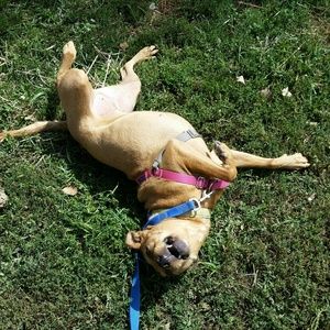 Meet your Posher, Louisa